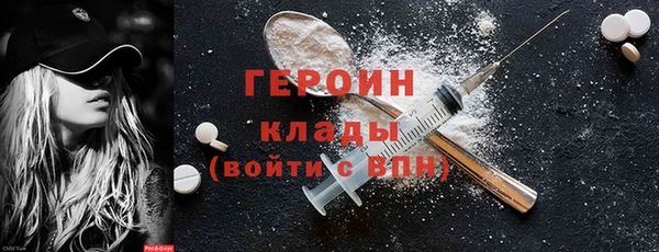 индика Алексин