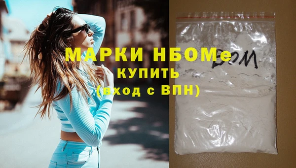 индика Алексин