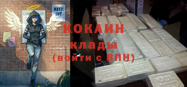 индика Алексин