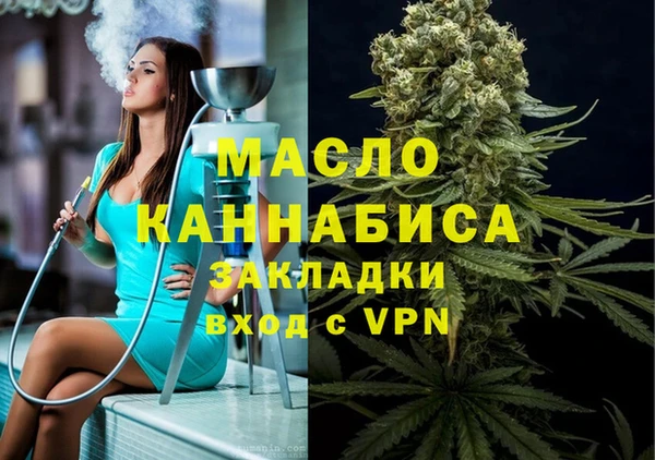 индика Алексин