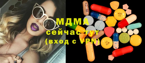 индика Алексин