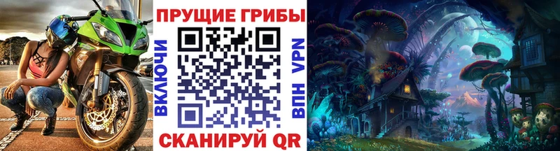 как найти   Моздок  Псилоцибиновые грибы прущие грибы 